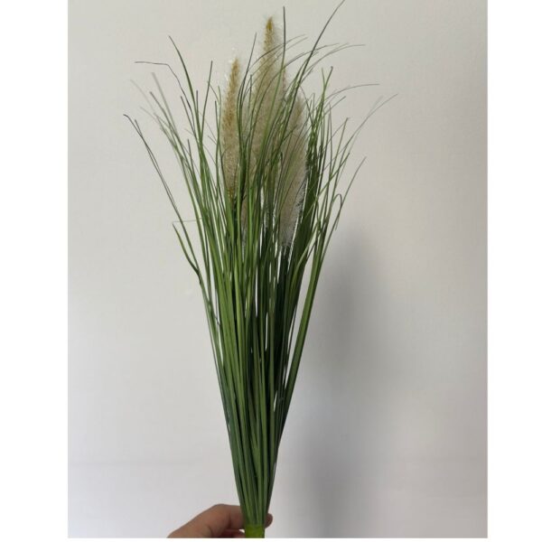 Pasto con cola de zorro